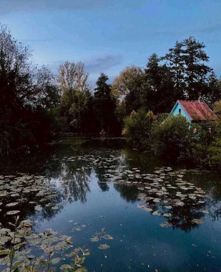 Maison Confortable, Terrasse Et Jardin A Amiens Eksteriør billede